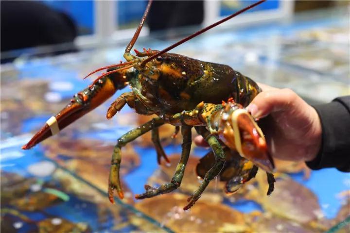 【時代儒商】膠東碼頭海鮮城淮揚菜、魯菜、海鮮超多美味！滿足您的味蕾~~