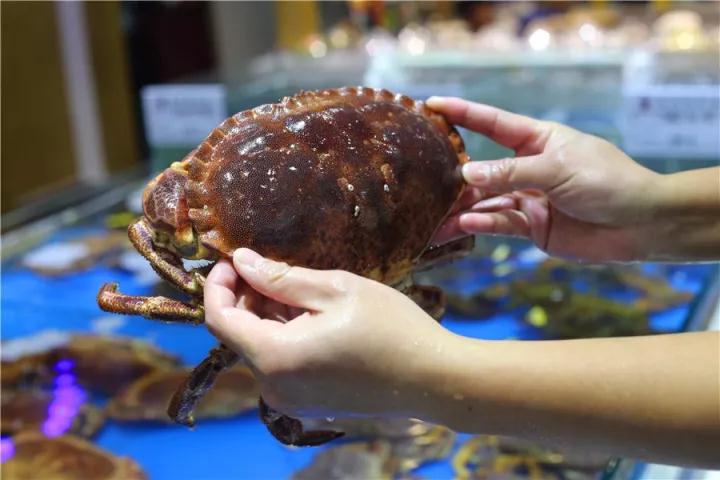 【時代儒商】膠東碼頭海鮮城淮揚菜、魯菜、海鮮超多美味！滿足您的味蕾~~