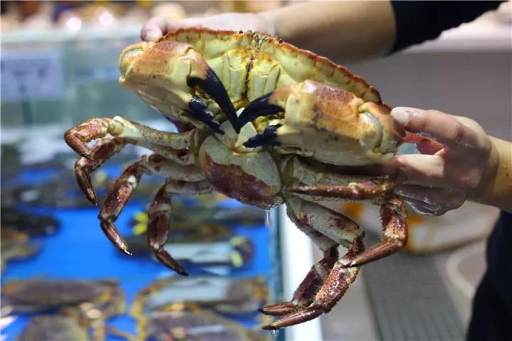 【時代儒商】膠東碼頭海鮮城淮揚菜、魯菜、海鮮超多美味！滿足您的味蕾~~